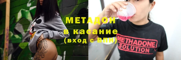прущие грибы Пенза