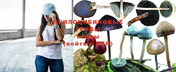прущий лед Лиски